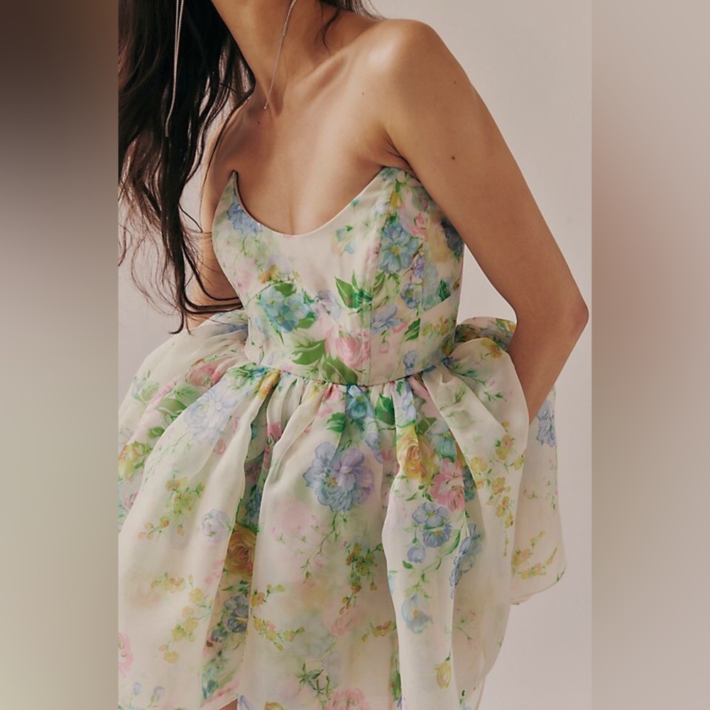 Selkie x Free People The Veuve Dress in Briar Rose - Picture 2 of 10